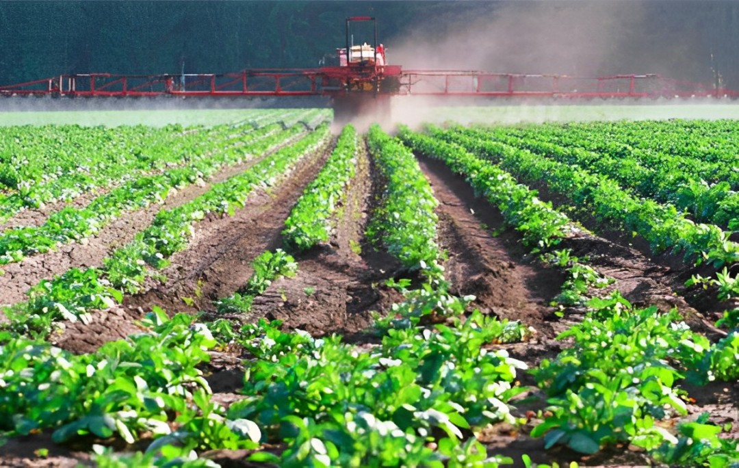 Agro / Fertilisers